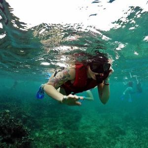 Meet your Posher, Elise